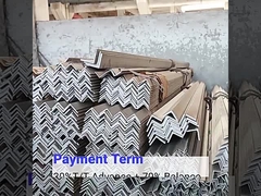 Che cosa è l'acciaio inossidabile di angolo?